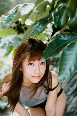 大佬宠妻不腻