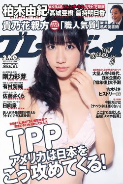 歌手2024第四期