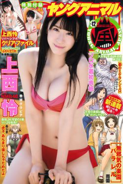 沙海电视剧